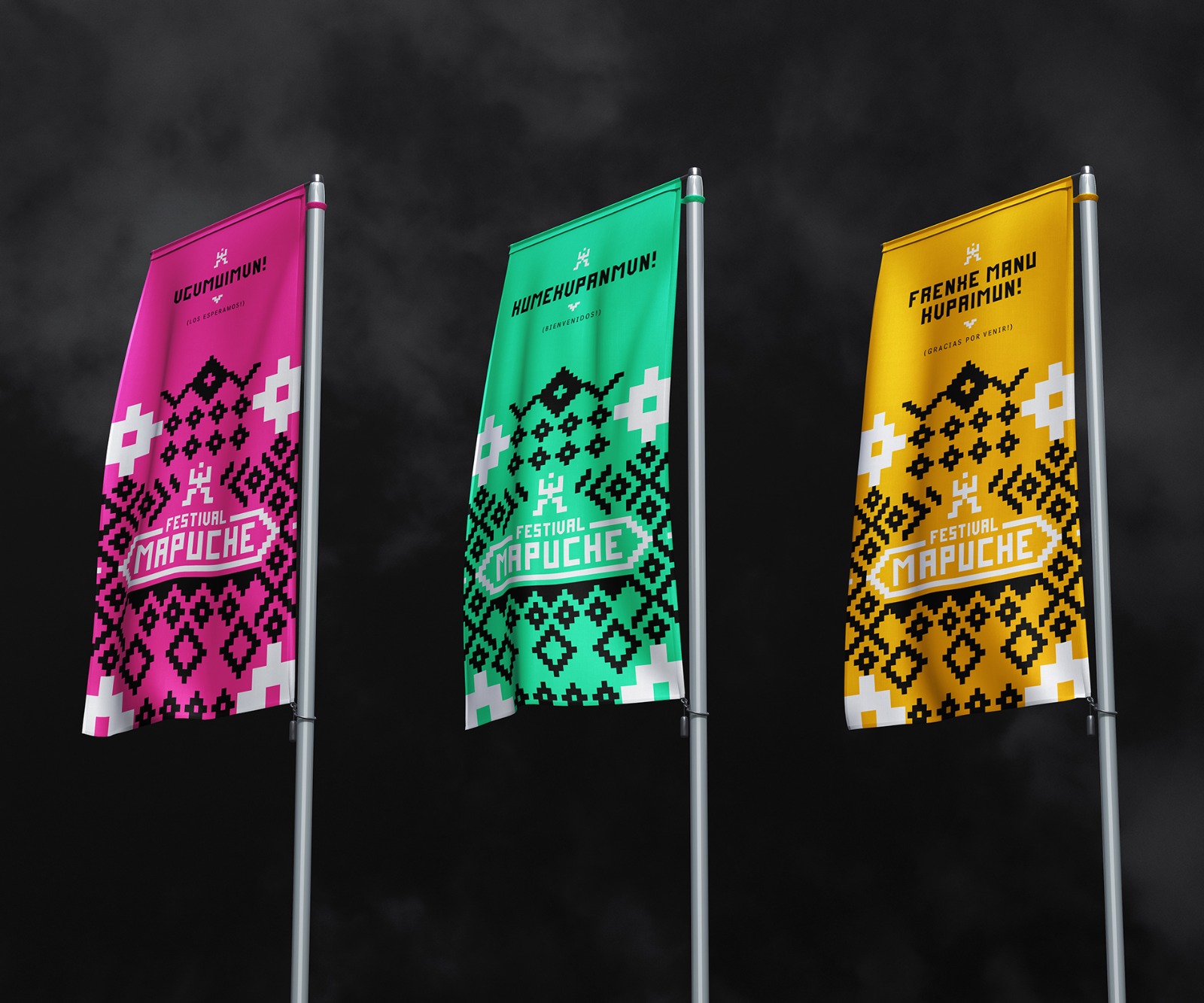 Festival Mapuche - banderas